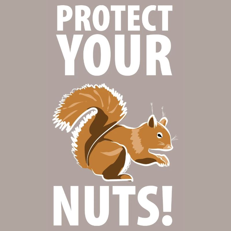 Squirrel Eichhörnchen Dieb Tierpfleger