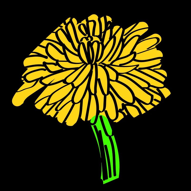 Dandelion