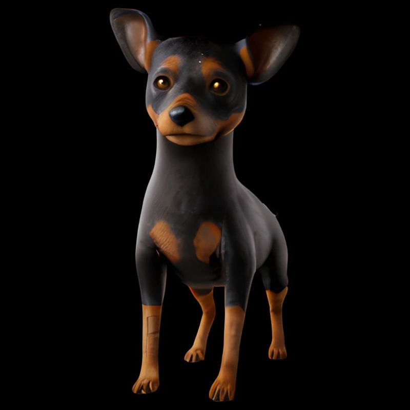 Lancashire Heeler