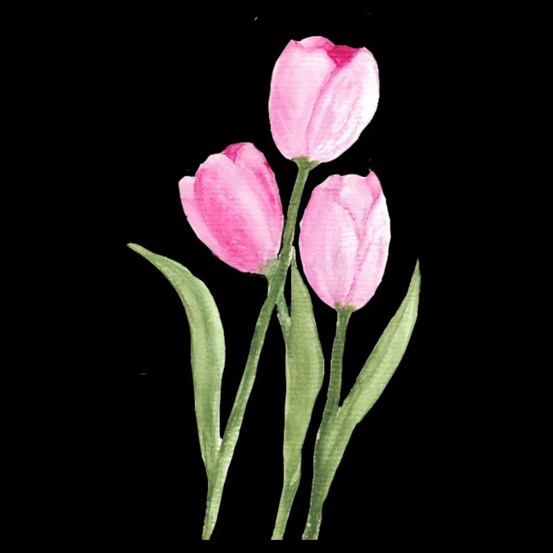 pink tulips