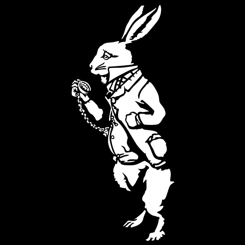 White rabbit