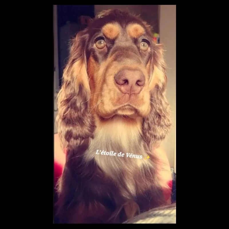 Lady ❤️