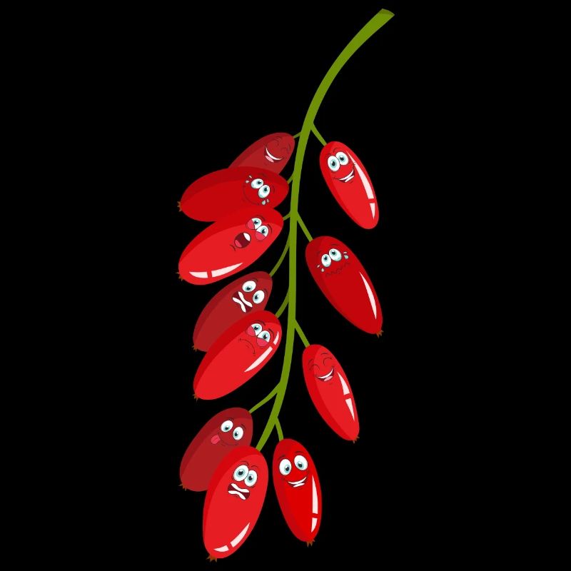 Berberitzen