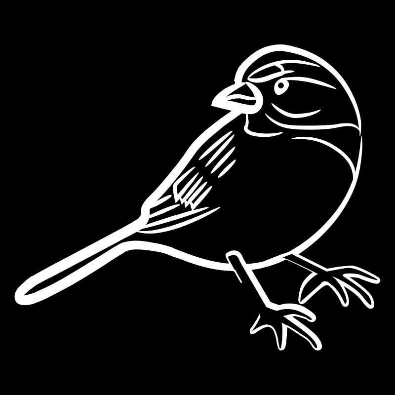 Spatz-Illustration