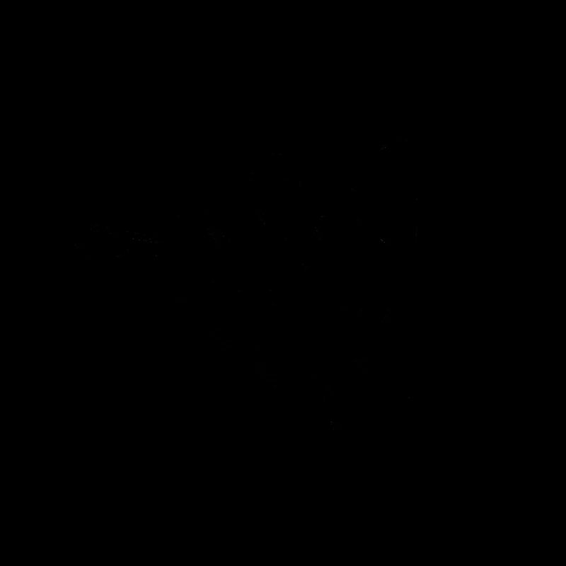 Main Shaka