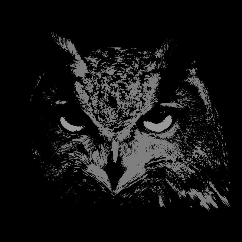 hibou