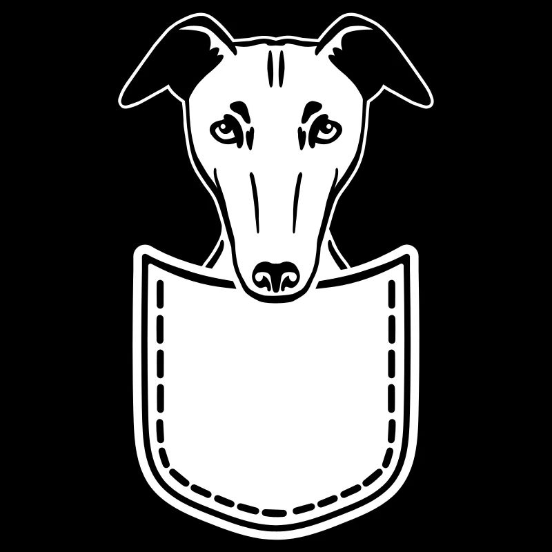 Whippet