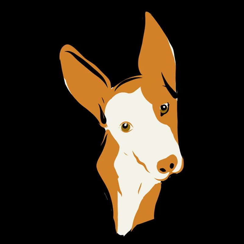 Podi
