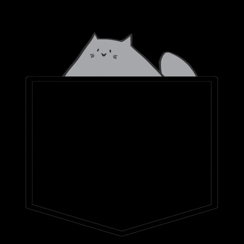 Chat dans la poche