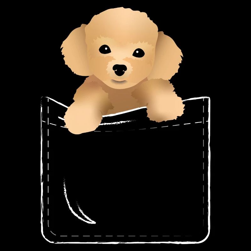 Caniche dans une poche