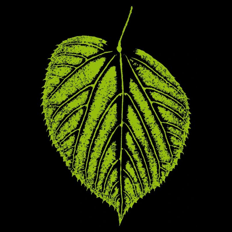 Feuille de tilleul / feuille LINDE - Nature & Forêt