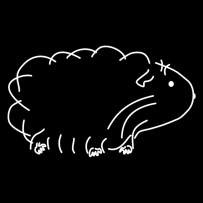 Cochon d'Inde