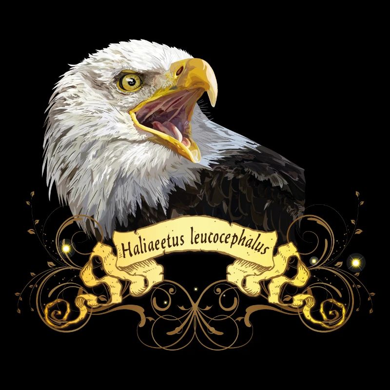 Bald eagle