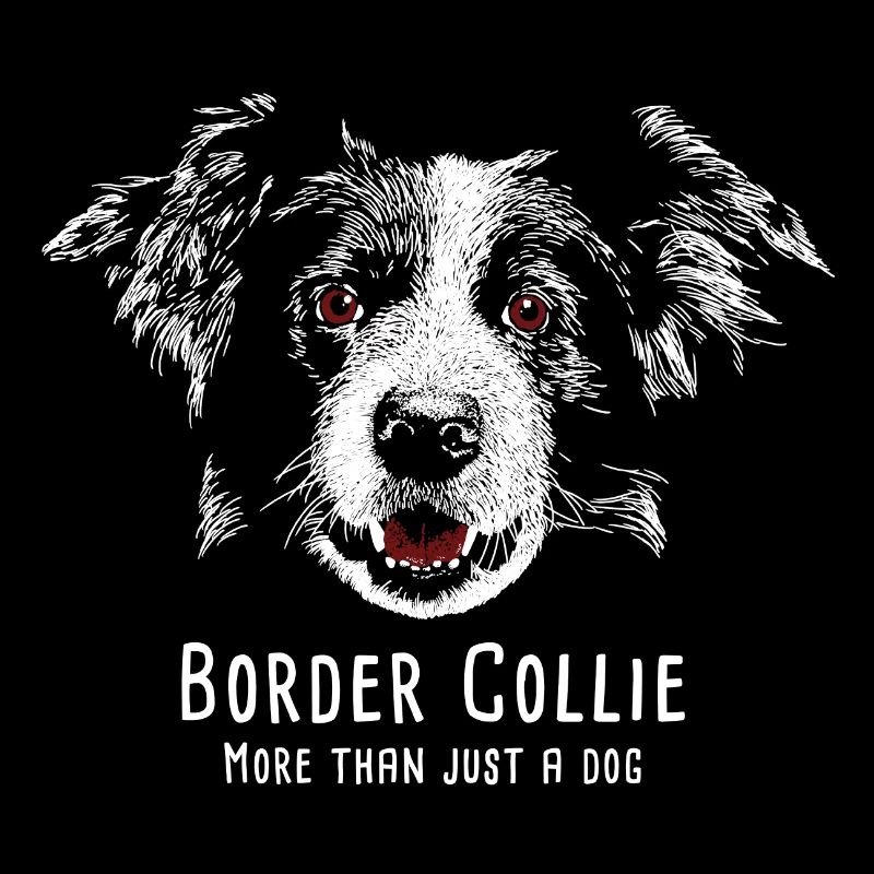 Border Collie 12 2018 01