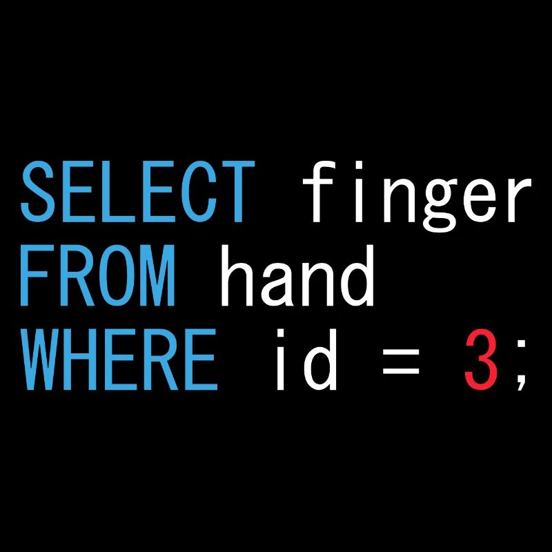 Developer computer scientist databases gift