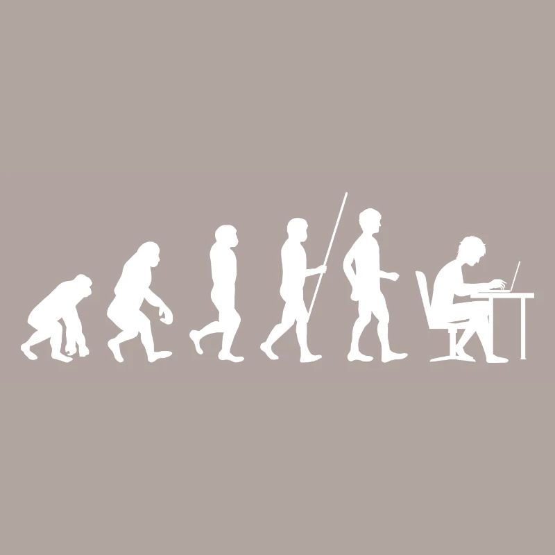 Programmeur évolution code étudiant en informatique