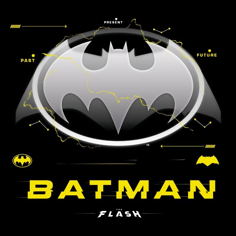 The Flash Klassisches Batman-Logo In Grau