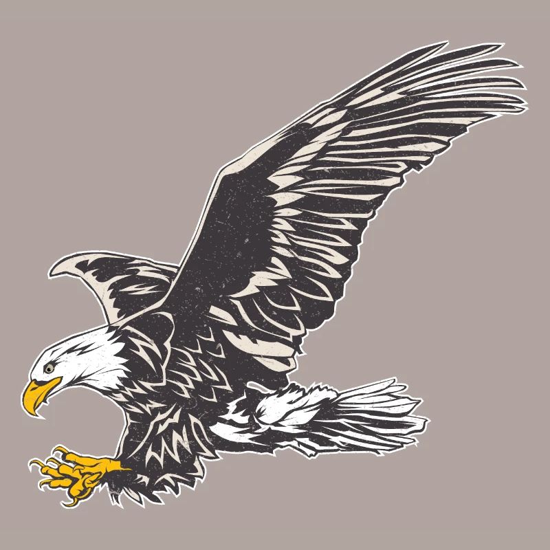 Eagle freedom Eagle eagle head flying gift