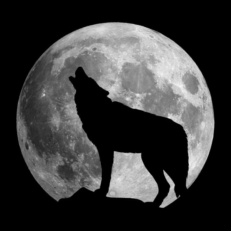 Full Moon Wolf