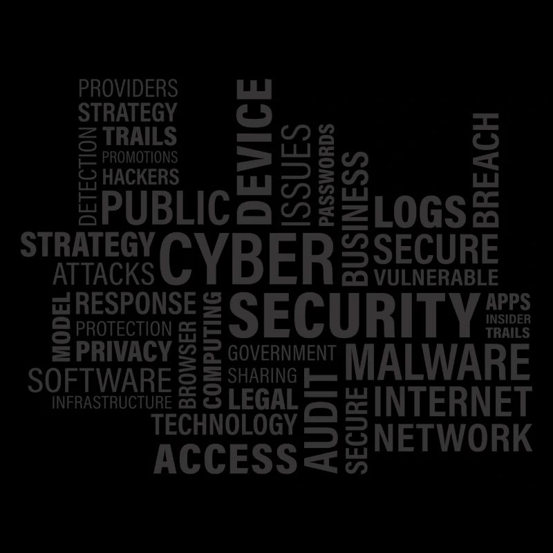 Cyber-Sicherheit