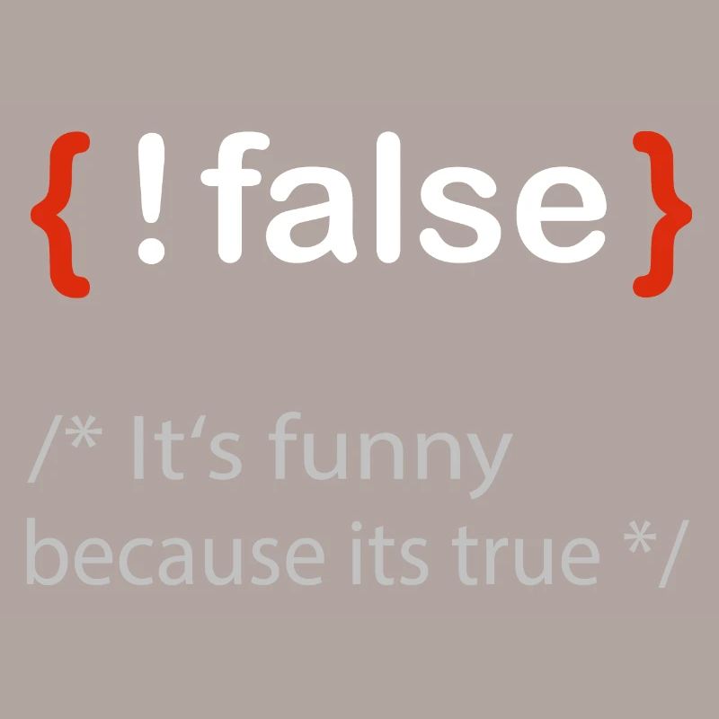 Programmierer false true Informatiker Student