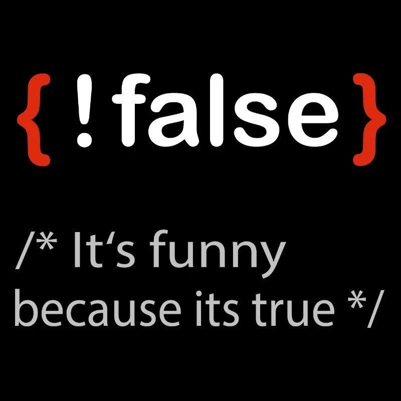 Programmierer false true Informatiker Student