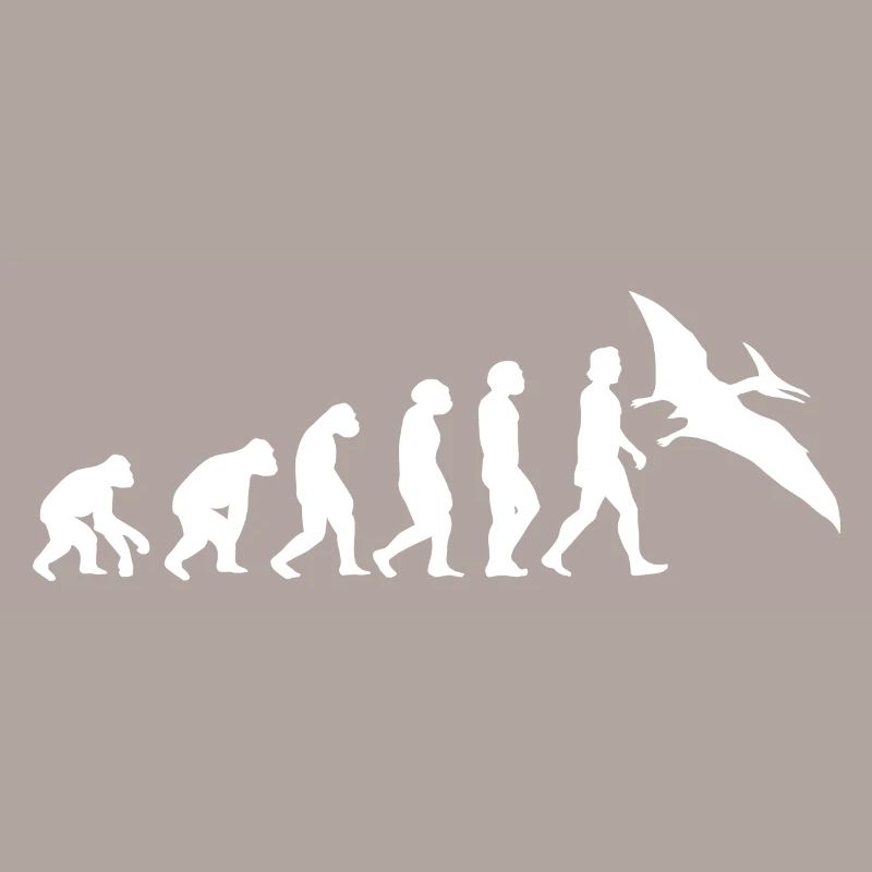 Pteranodon Pteranodon Evolution Dinosaures Animaux