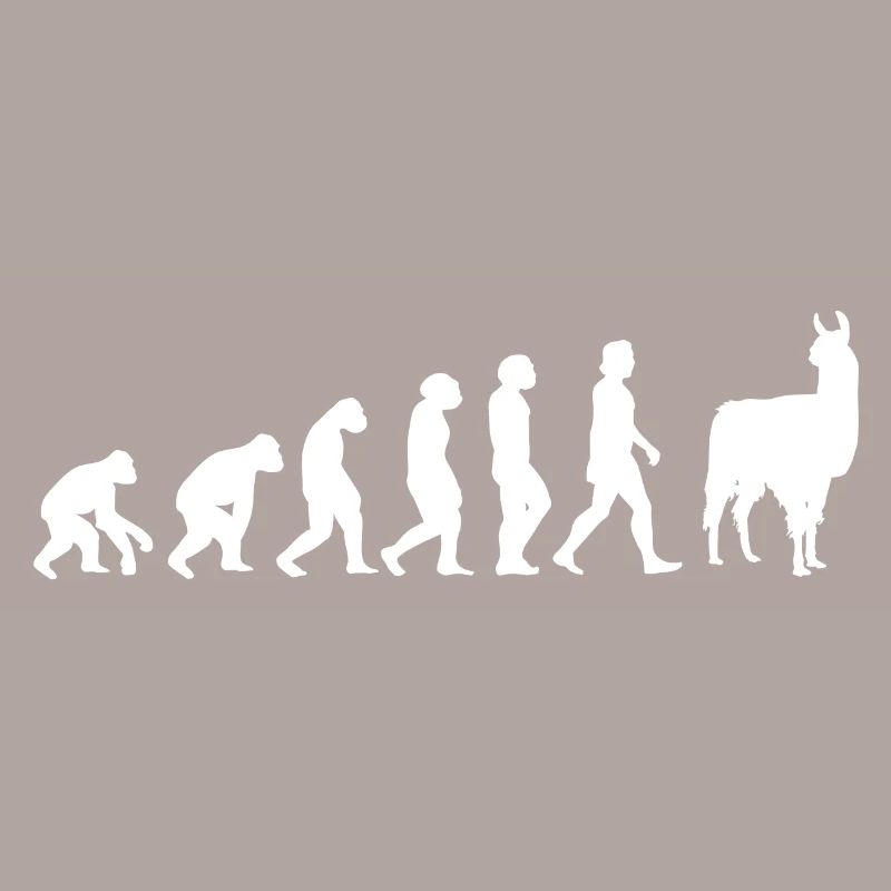 Alpaca Evolution of Humans Animals