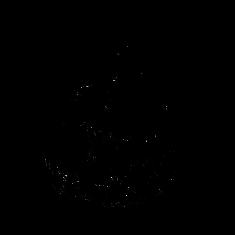 Head black