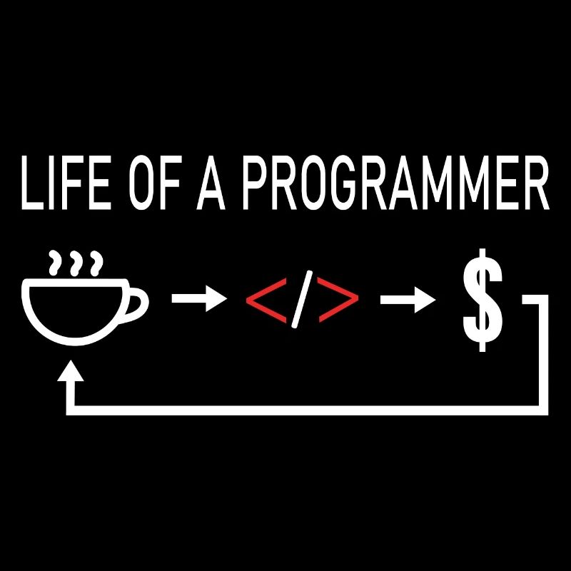 Informaticien La vie d'un programmeur codeur codage