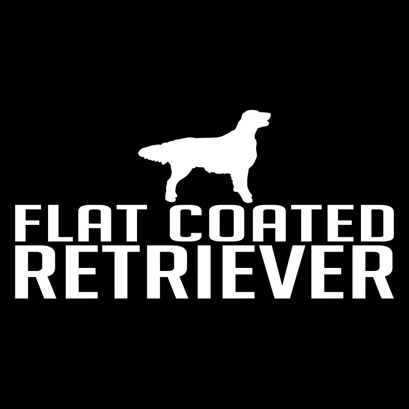 FLAT COATED RETRIEVER dog
