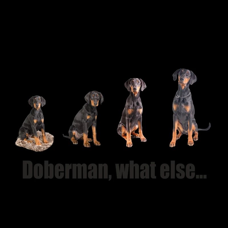 Doberman, what else...