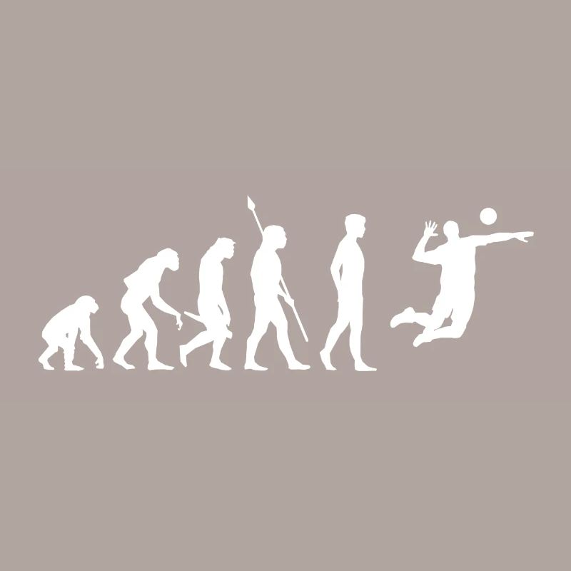 Volleyball Evolution