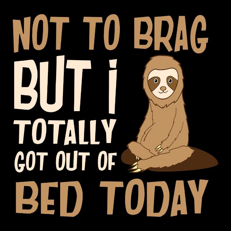 funny animals sloth