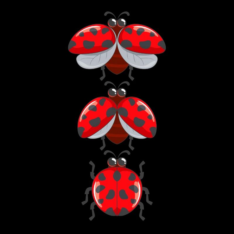 Coccinelles douces insectes avec des ailes