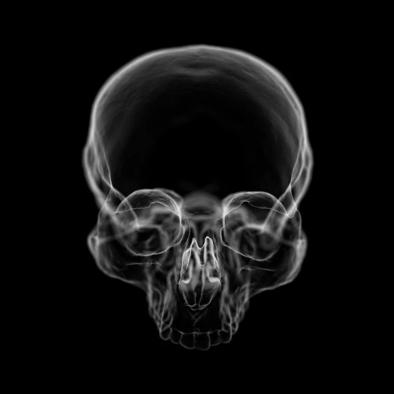 Totenschädel - Anatomische Röntgen Version