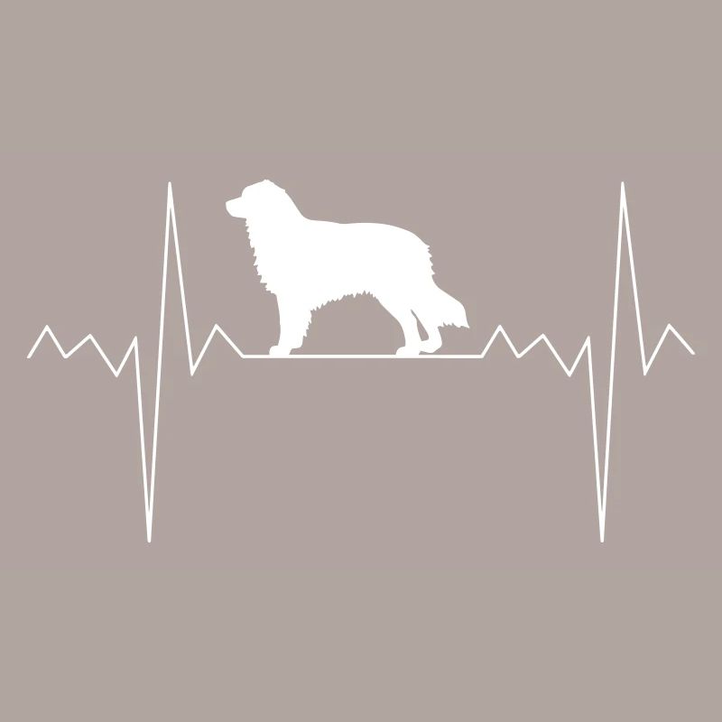 Herzschlag Herzfrequenz Australian Shepherd