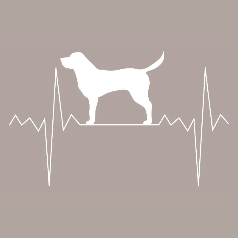 Herzschlag Herzfrequenz Labrador Retriever Hund