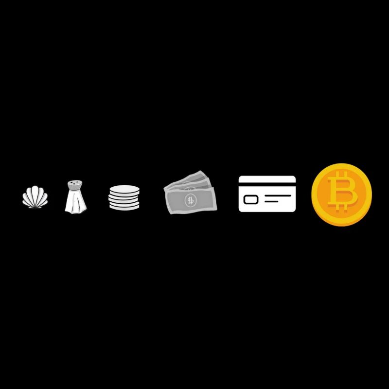 Evolution Of Money (Bitcoin Version)