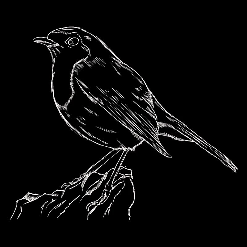 Das Rotkehlchen Singvogel Naturschutz