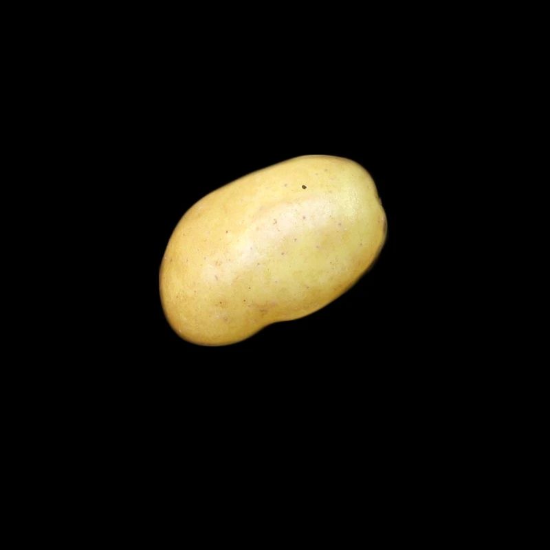 pomme de terre