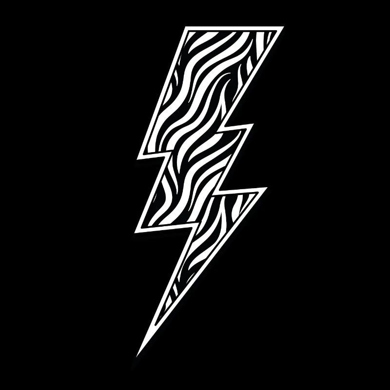 Flash zèbre