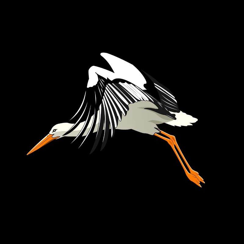 Storch