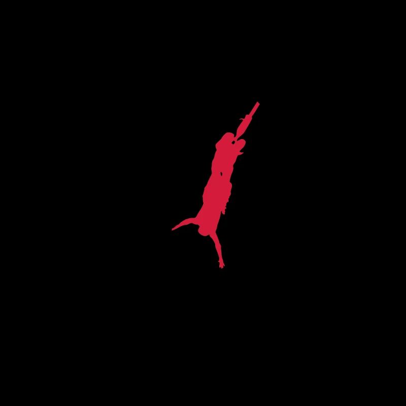bungee jumping extremsport