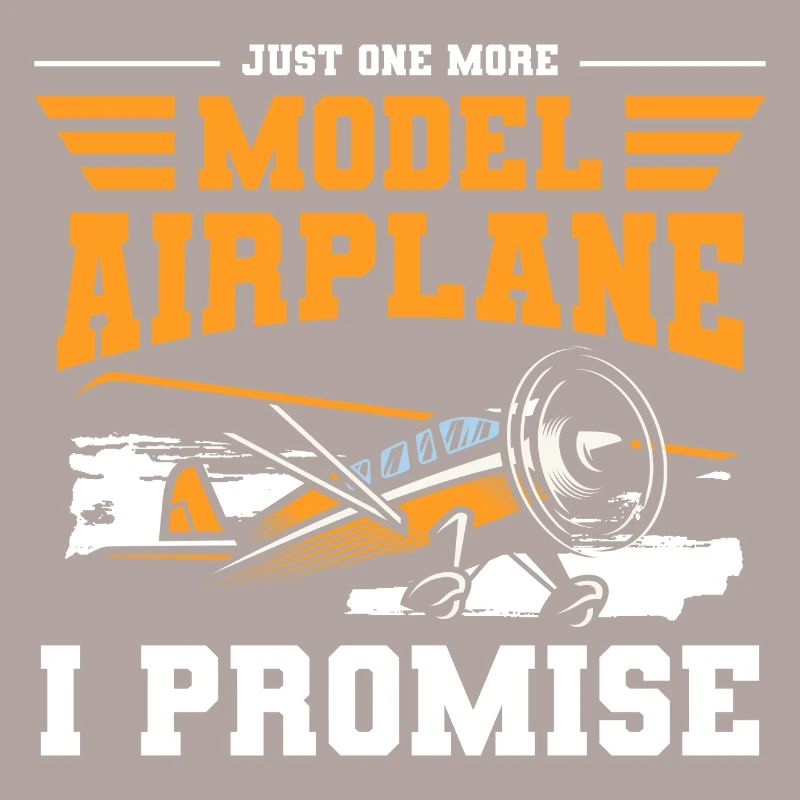 Model Airplane Model Airplane Model Making Remote Control