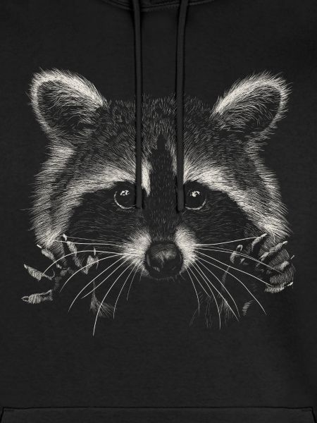 Waschbär