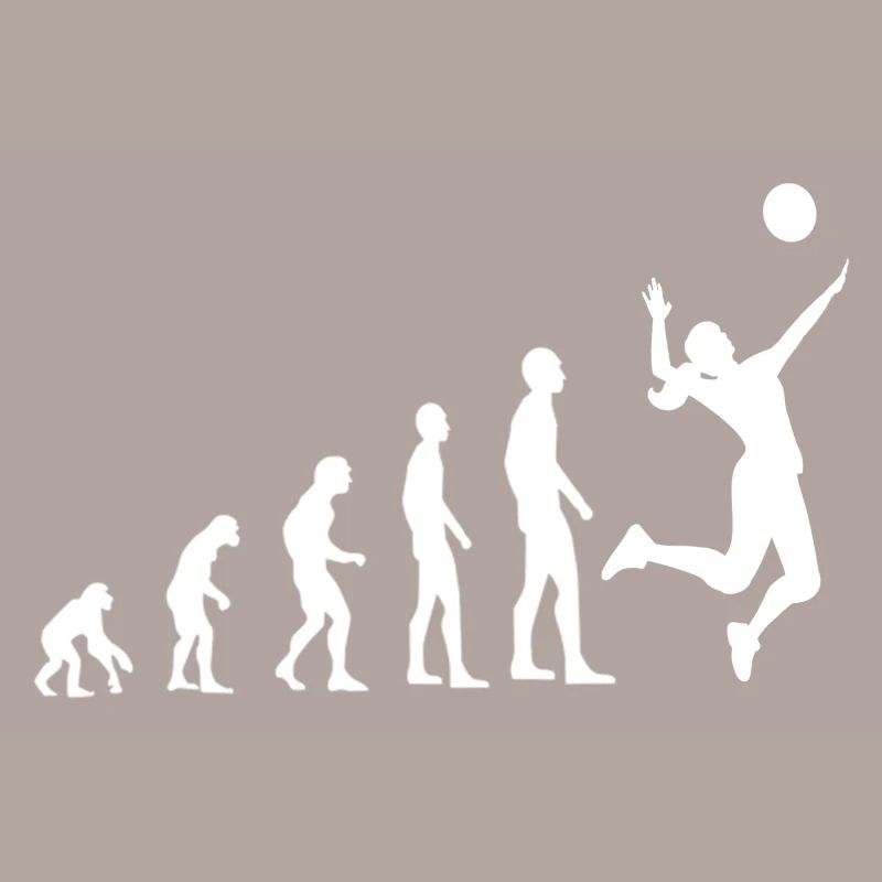 Volleyball Evolution