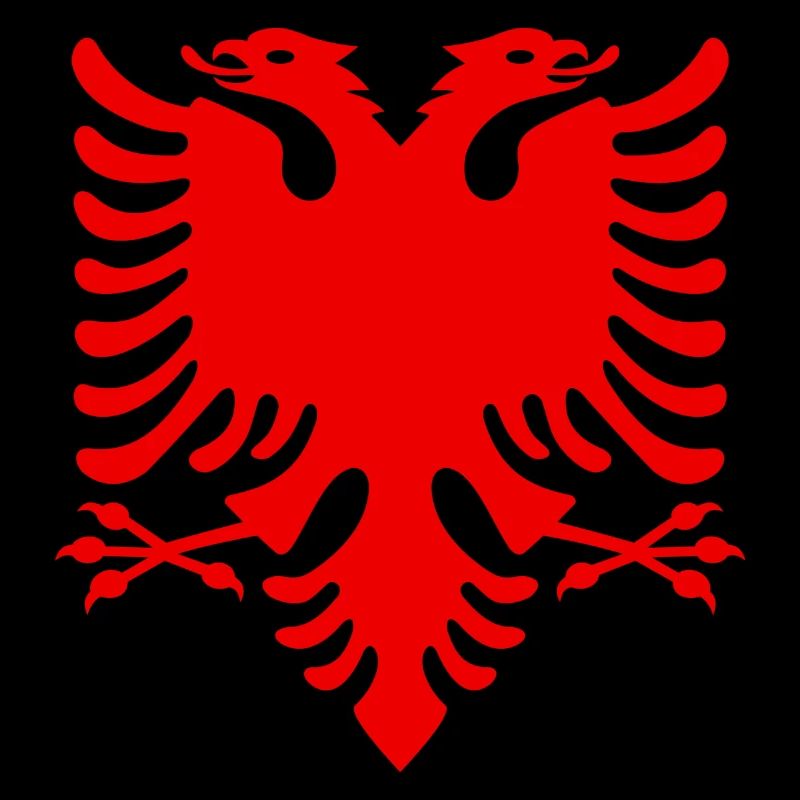 Aigle albanais