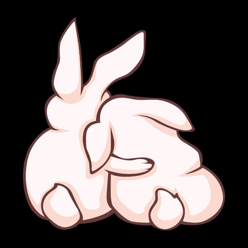 Rabbit Rabbit Cute animals
