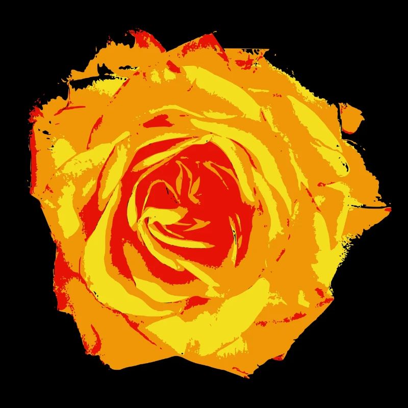 Rose orange